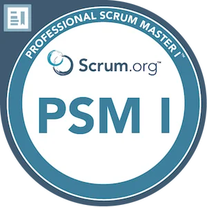 Professional Scrum Master 1